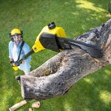 Best Lawn Watering Services  in West Sharyland, TX